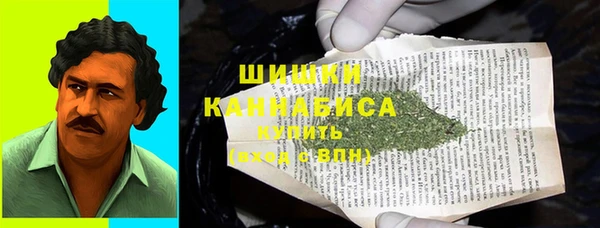прущий лед Новозыбков
