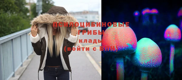 прущий лед Новозыбков