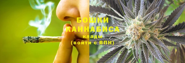 гидра Сосновоборск