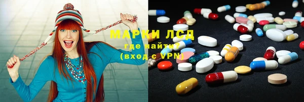 шишки Новокубанск
