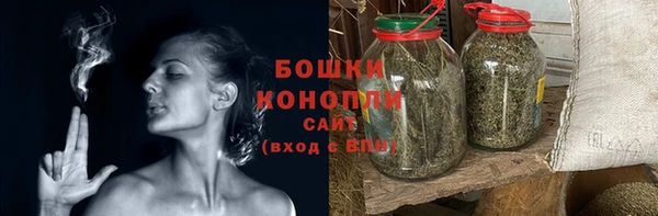 прущий лед Новозыбков