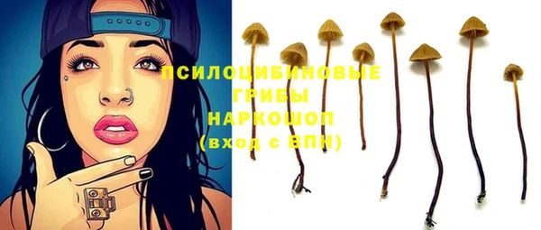 ПСИЛОЦИБИНОВЫЕ ГРИБЫ Строитель