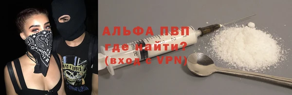 ПСИЛОЦИБИНОВЫЕ ГРИБЫ Строитель