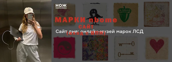 прущий лед Новозыбков