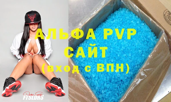 ПСИЛОЦИБИНОВЫЕ ГРИБЫ Строитель