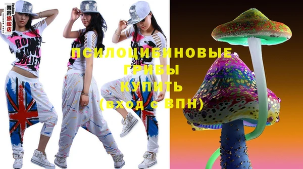 прущий лед Новозыбков