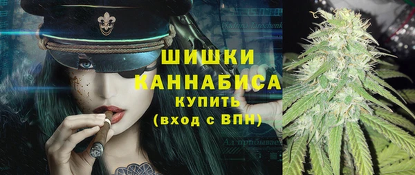 ПСИЛОЦИБИНОВЫЕ ГРИБЫ Сосновый Бор