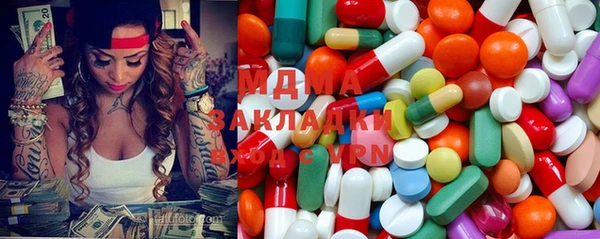 ПСИЛОЦИБИНОВЫЕ ГРИБЫ Строитель