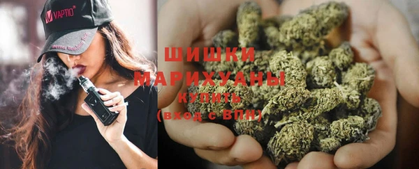 ПСИЛОЦИБИНОВЫЕ ГРИБЫ Сосновый Бор