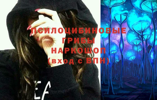 шишки Новокубанск