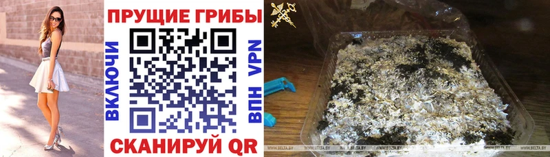 Галлюциногенные грибы MAGIC MUSHROOMS где можно купить Агидель
